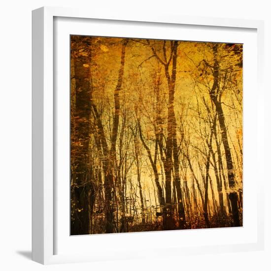 Reflections of Trees in Water-Trigger Image-Framed Photographic Print