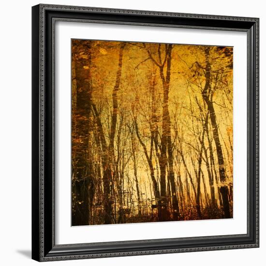 Reflections of Trees in Water-Trigger Image-Framed Photographic Print