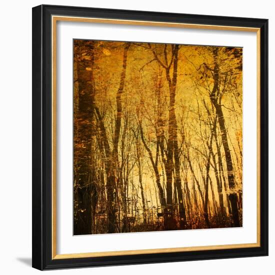 Reflections of Trees in Water-Trigger Image-Framed Photographic Print