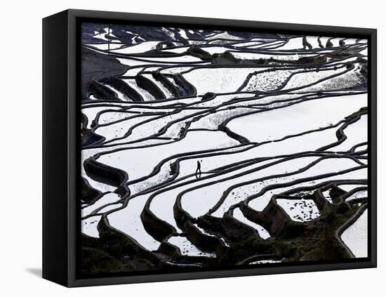 Reflections Off Water Filled Rice Terraces, Yuanyang County, Honghe, Yunnan Province, China-Peter Adams-Framed Premier Image Canvas