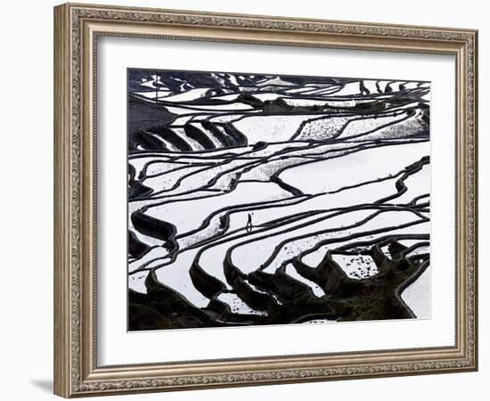 Reflections Off Water Filled Rice Terraces, Yuanyang County, Honghe, Yunnan Province, China-Peter Adams-Framed Photographic Print