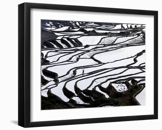 Reflections Off Water Filled Rice Terraces, Yuanyang County, Honghe, Yunnan Province, China-Peter Adams-Framed Photographic Print