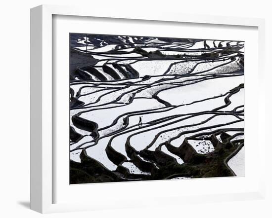 Reflections Off Water Filled Rice Terraces, Yuanyang County, Honghe, Yunnan Province, China-Peter Adams-Framed Photographic Print