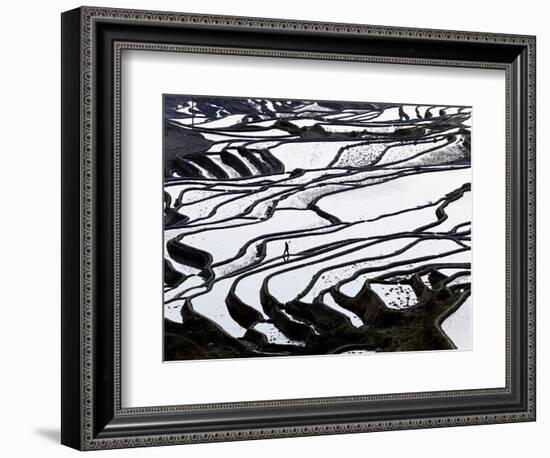 Reflections Off Water Filled Rice Terraces, Yuanyang County, Honghe, Yunnan Province, China-Peter Adams-Framed Photographic Print