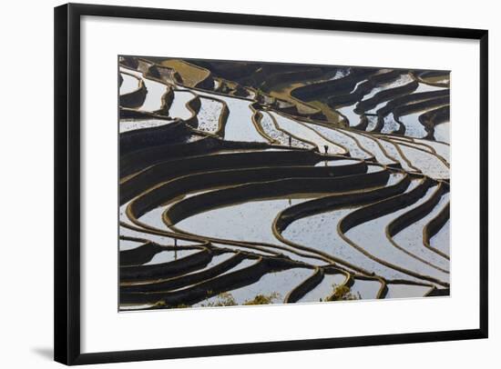 Reflections Off Water Filled Rice Terraces, Yuanyang, Honghe, China-Peter Adams-Framed Photographic Print