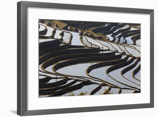 Reflections Off Water Filled Rice Terraces, Yuanyang, Honghe, China-Peter Adams-Framed Photographic Print