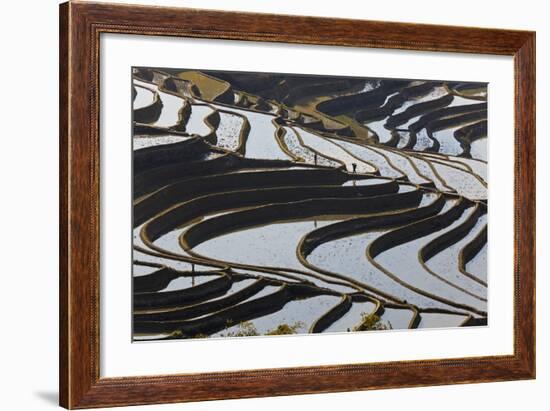 Reflections Off Water Filled Rice Terraces, Yuanyang, Honghe, China-Peter Adams-Framed Photographic Print