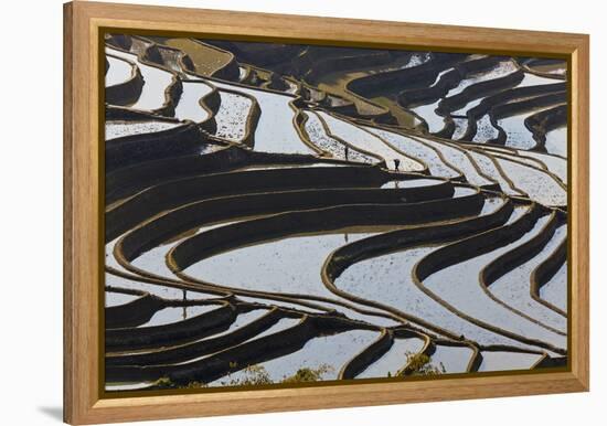 Reflections Off Water Filled Rice Terraces, Yuanyang, Honghe, China-Peter Adams-Framed Premier Image Canvas