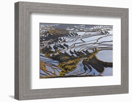 Reflections Off Water Filled Rice Terraces, Yuanyang, Honghe, China-Peter Adams-Framed Photographic Print
