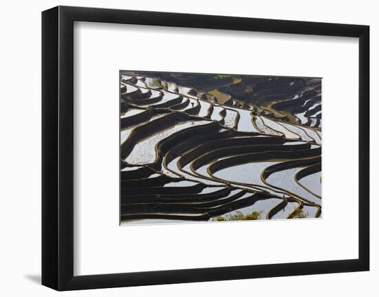 Reflections Off Water Filled Rice Terraces, Yuanyang, Honghe, China-Peter Adams-Framed Photographic Print