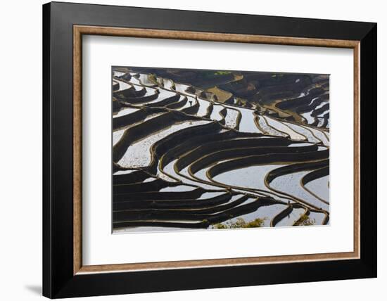 Reflections Off Water Filled Rice Terraces, Yuanyang, Honghe, China-Peter Adams-Framed Photographic Print