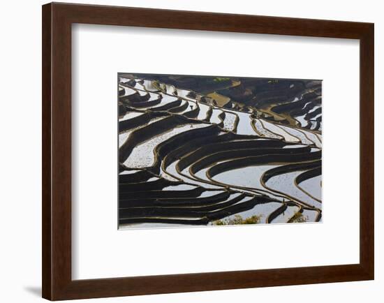 Reflections Off Water Filled Rice Terraces, Yuanyang, Honghe, China-Peter Adams-Framed Photographic Print