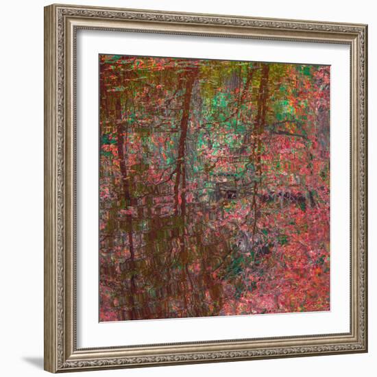 Reflections On A Japanese Garden-Doug Chinnery-Framed Photographic Print