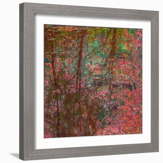 Reflections On A Japanese Garden-Doug Chinnery-Framed Photographic Print