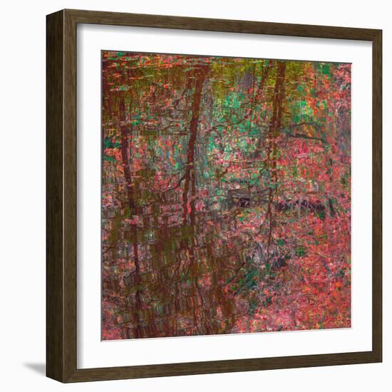 Reflections On A Japanese Garden-Doug Chinnery-Framed Photographic Print