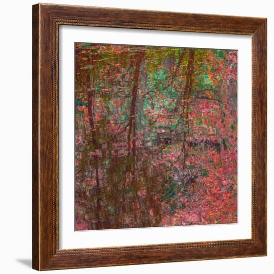 Reflections On A Japanese Garden-Doug Chinnery-Framed Photographic Print