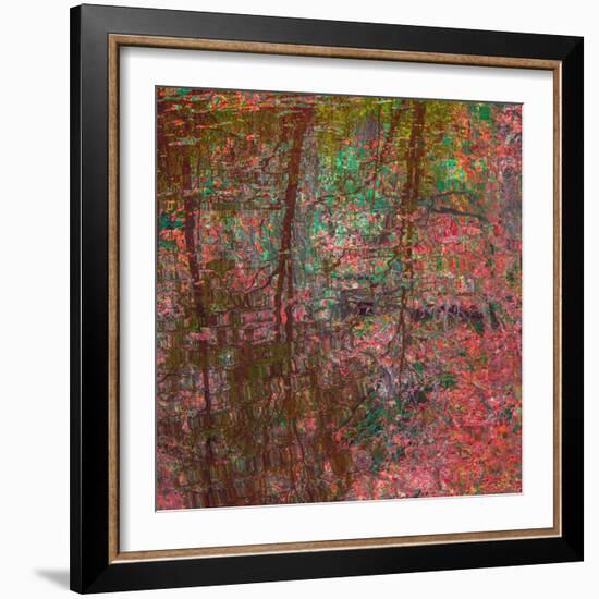 Reflections On A Japanese Garden-Doug Chinnery-Framed Photographic Print