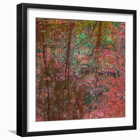 Reflections On A Japanese Garden-Doug Chinnery-Framed Photographic Print