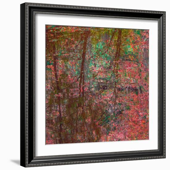 Reflections On A Japanese Garden-Doug Chinnery-Framed Photographic Print