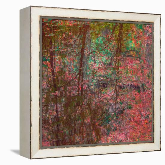 Reflections On A Japanese Garden-Doug Chinnery-Framed Premier Image Canvas