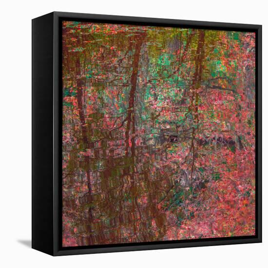 Reflections On A Japanese Garden-Doug Chinnery-Framed Premier Image Canvas