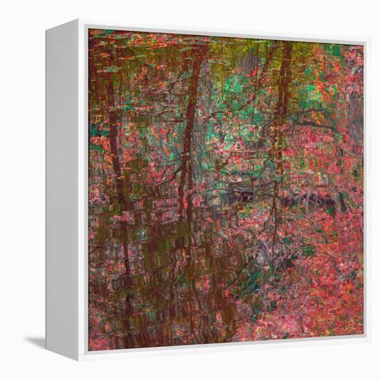 Reflections On A Japanese Garden-Doug Chinnery-Framed Premier Image Canvas