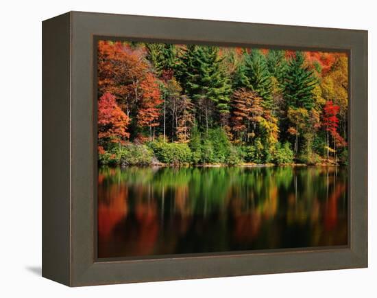 Reflections on Lake Conasauga-James Randklev-Framed Premier Image Canvas