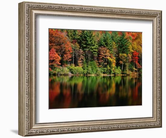 Reflections on Lake Conasauga-James Randklev-Framed Photographic Print