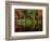 Reflections on Lake Conasauga-James Randklev-Framed Photographic Print