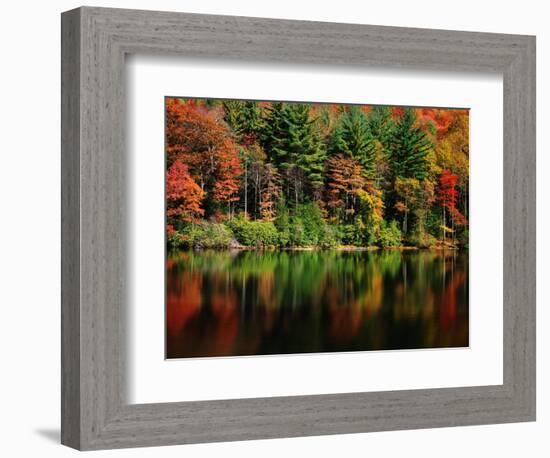 Reflections on Lake Conasauga-James Randklev-Framed Photographic Print