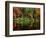 Reflections on Lake Conasauga-James Randklev-Framed Photographic Print