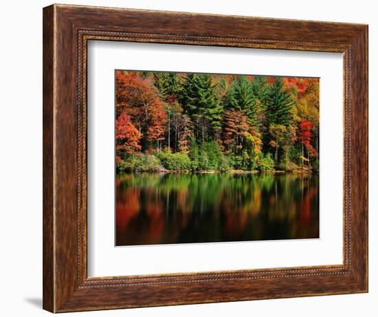 Reflections on Lake Conasauga-James Randklev-Framed Photographic Print