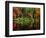 Reflections on Lake Conasauga-James Randklev-Framed Photographic Print