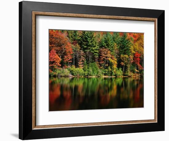 Reflections on Lake Conasauga-James Randklev-Framed Photographic Print