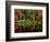 Reflections on Lake Conasauga-James Randklev-Framed Photographic Print