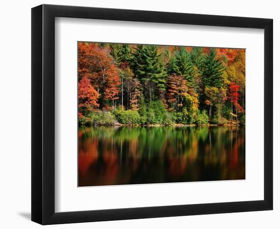 Reflections on Lake Conasauga-James Randklev-Framed Photographic Print