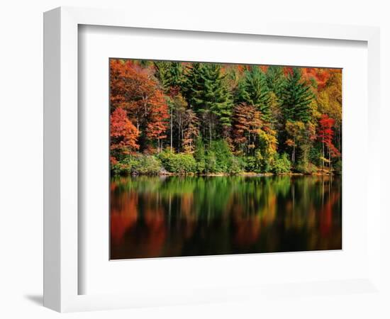 Reflections on Lake Conasauga-James Randklev-Framed Photographic Print