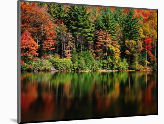 Reflections on Lake Conasauga-James Randklev-Mounted Photographic Print