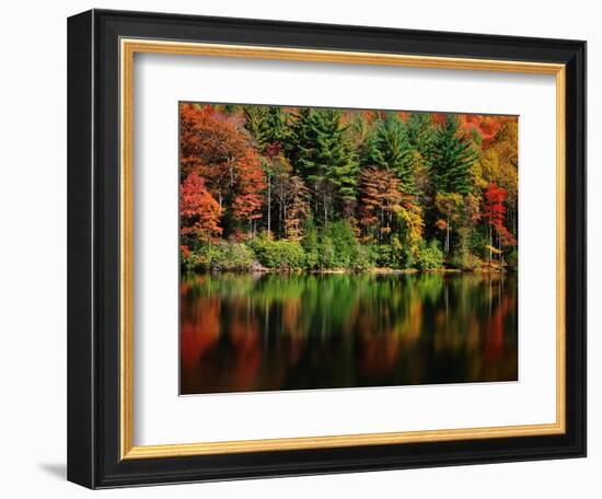 Reflections on Lake Conasauga-James Randklev-Framed Photographic Print