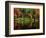 Reflections on Lake Conasauga-James Randklev-Framed Photographic Print