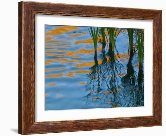 Reflections on Malheur River at Sunset, Oregon, USA-Nancy Rotenberg-Framed Photographic Print