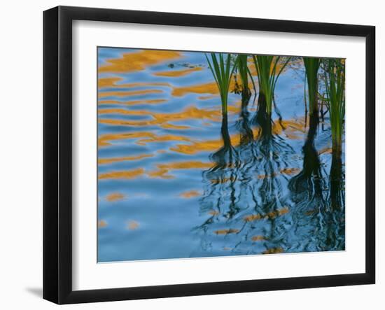 Reflections on Malheur River at Sunset, Oregon, USA-Nancy Rotenberg-Framed Photographic Print