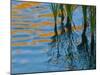 Reflections on Malheur River at Sunset, Oregon, USA-Nancy Rotenberg-Mounted Photographic Print
