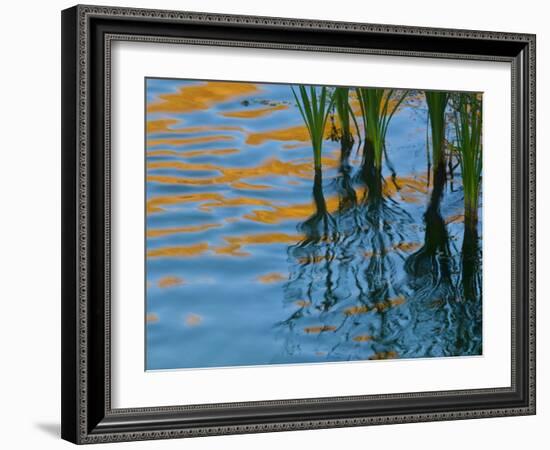 Reflections on Malheur River at Sunset, Oregon, USA-Nancy Rotenberg-Framed Photographic Print