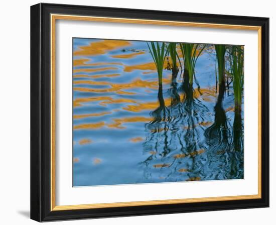 Reflections on Malheur River at Sunset, Oregon, USA-Nancy Rotenberg-Framed Photographic Print