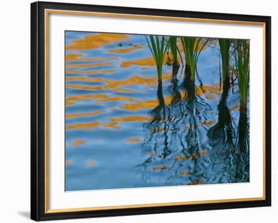Reflections on Malheur River at Sunset, Oregon, USA-Nancy Rotenberg-Framed Photographic Print