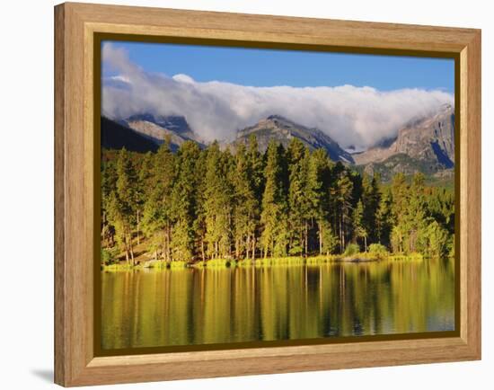 Reflections on Sprague Lake, Rocky Mountain National Park, Colorado, USA-Michel Hersen-Framed Premier Image Canvas