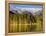 Reflections on Sprague Lake, Rocky Mountain National Park, Colorado, USA-Michel Hersen-Framed Premier Image Canvas