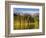 Reflections on Sprague Lake, Rocky Mountain National Park, Colorado, USA-Michel Hersen-Framed Photographic Print