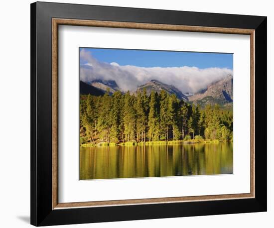 Reflections on Sprague Lake, Rocky Mountain National Park, Colorado, USA-Michel Hersen-Framed Photographic Print